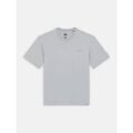 T-shirt Dickies PLENTYWOOD SS - DK0A866BD061-ULTIMATE GREY Grenoble