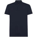 Polos sur Grenoble : Polo Roberto Ricci Designs Polo