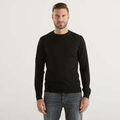 Pull Daniele Fiesoli -
