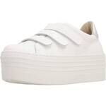 Baskets Yellow Tequila