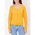 Gilet La Fiancee Du Mekong Gilet maille fantaisie uni AGATA