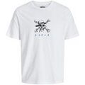 Tee-shirts sur Grenoble : T-shirt Jack & Jones 183556VTAH25