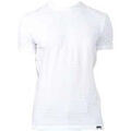 Tee-shirts sur Grenoble : T-shirt Dsquared T-shirt
