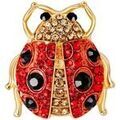 Broches sur Grenoble : Broches Clj Charles Le Jeune Broche coccinelle Rouge