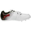 Chaussures Puma Evospeed Long Jump 10