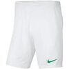 Short Nike Park III