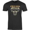T-shirt New-Era Chicago Bulls Graphique