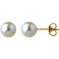Boucles d'oreille sur Grenoble : Boucles oreilles Brillaxis Boucles d'oreilles perles de culture 5.5/6 mm