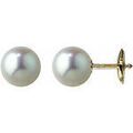 Boucles oreilles Brillaxis Boucles d'oreilles or perles akoya du japon 8 mm Grenoble