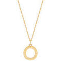 Colliers sur Grenoble : Collier Saunier Collier plaqu&eacute; or ligne aubier Jaune