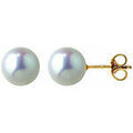 Boucles d'oreille sur Grenoble : Boucles oreilles Brillaxis Boucles d'oreilles perles de culture or 7/7,5 mm
