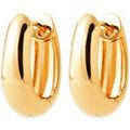 Boucles d'oreille sur Grenoble : Boucles oreilles Brillaxis Cr&eacute;oles &eacute;paisses et ovales plaqu&eacute; or Jaune