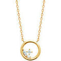 Colliers sur Grenoble : Collier Brillaxis Collier cercle et oxydes de zirconium