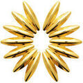 Boucles d'oreille sur Grenoble : Boucles oreilles Brillaxis Boucles d'oreilles acier dor&eacute; Jaune