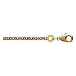 Collier Brillaxis Cha&icirc;ne plaqu&eacute; or 42cm Jaune