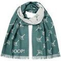 Echarpe Joop! JOOP! Homme &Eacute;charpe JSC-05Feris Vert
