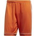 Short adidas Squad 17 Sho Grenoble