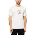 T-shirt Calvin Klein Jeans LV14RE829GYBH Grenoble