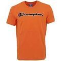 Tee-shirts sur Grenoble : T-shirt Champion Homme CREWNECK