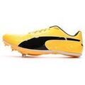 Chaussures Puma Evospeed Sprint 14