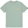 T-shirt Alpha Industries Backprint T-Shirt - frost green