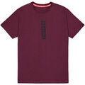 Tee-shirts sur Grenoble : T-shirt Alpha Industries Alpha Puff Print T-Shirt - dark cherry