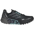 Chaussures adidas Terrex Agravic Flow 2.0 Noir