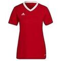 Tee-shirts sur Grenoble : T-shirt adidas T-shirt Entrada 22 rouge