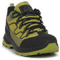 Chaussures Jacalu 15 BLACK Vert Grenoble