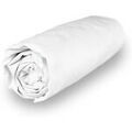 Linge de maison sur Grenoble : Draps housse Soleil D'Ocre Percale