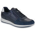 Baskets homme sur Grenoble : Baskets basses Geox U AVERY