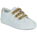 Baskets basses Kaporal TIPPYK Grenoble