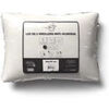Oreillers / Traversins Intemporel Confort Blanc 50x70 cm,60x60 cm. . Maison & D&eacute;co > Oreillers / Traversins.