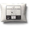 Linge de maison sur Grenoble : Oreillers / Traversins Intemporel Confort Blanc 50x70 cm,60x60 cm. . Maison & D&eacute;co > Oreillers / Traversins.