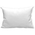 Taies d'oreillers, traversins Soleil D'Ocre PM Molleton imperm&eacute;able Blanc 50x70 cm,60x60 cm. . Maison > Taies d'oreillers, traversins.