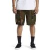 Short DC Shoes Tundra 22"