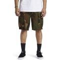 Short DC Shoes Tundra 22"