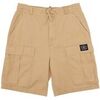 Short DC Shoes Tundra 22"