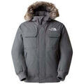 Vestes sur Grenoble : Blouson The North Face Homme MCMURDO