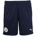 Short Puma Short Short d'entrainement