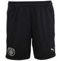 Short Puma Short Short d'entrainement