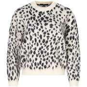 Pull Freeman T.Porter 184819VTAH25