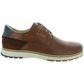 Baskets homme sur Grenoble : Baskets basses Pikolinos 4222 OLVERA