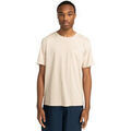Tee-shirts sur Grenoble : T-shirt Element Lowcase Pigment