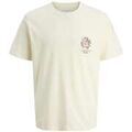 Tee-shirts sur Grenoble : T-shirt Jack & Jones 183617VTAH25