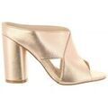 Running sur Grenoble : Chaussures Chika 10 ADA 05