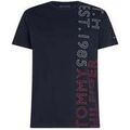 T-shirt Tommy Hilfiger 15892746699097 Grenoble
