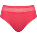 Culottes & autres bas
sur Grenoble : Culottes & slips Lisca Culotte taille haute SIA Rose