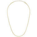 Colliers sur Grenoble : Collier Daniel Wellington COLLANE