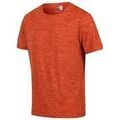 Tee-shirts sur Grenoble : T-shirt Regatta T-shirt Fingal Edition Rouge